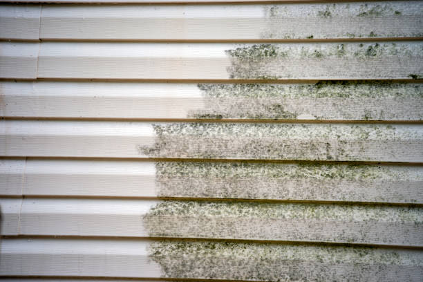 Best Hoarding Cleanup  in Castle Rock, WA